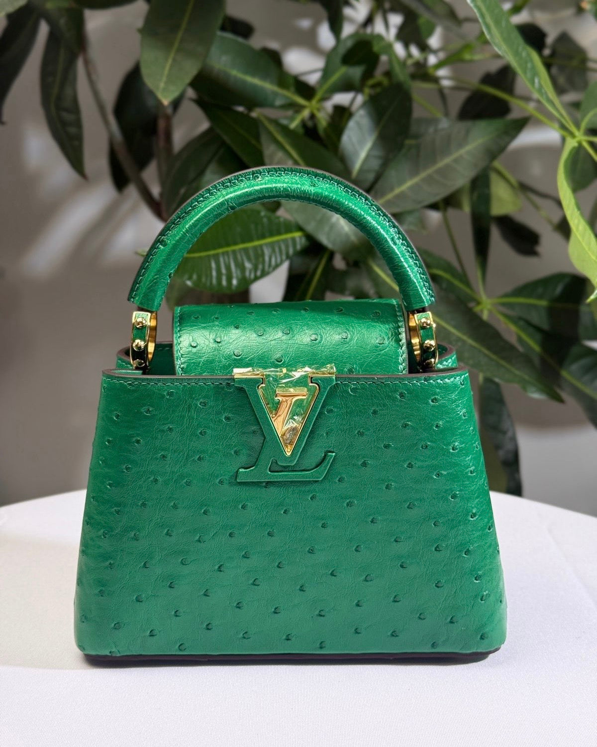 Louis Vuitton Ostrich Leather Capucines Mini Bag